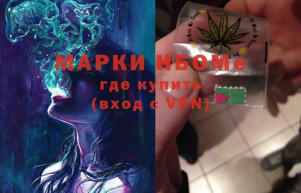 индика Вязники